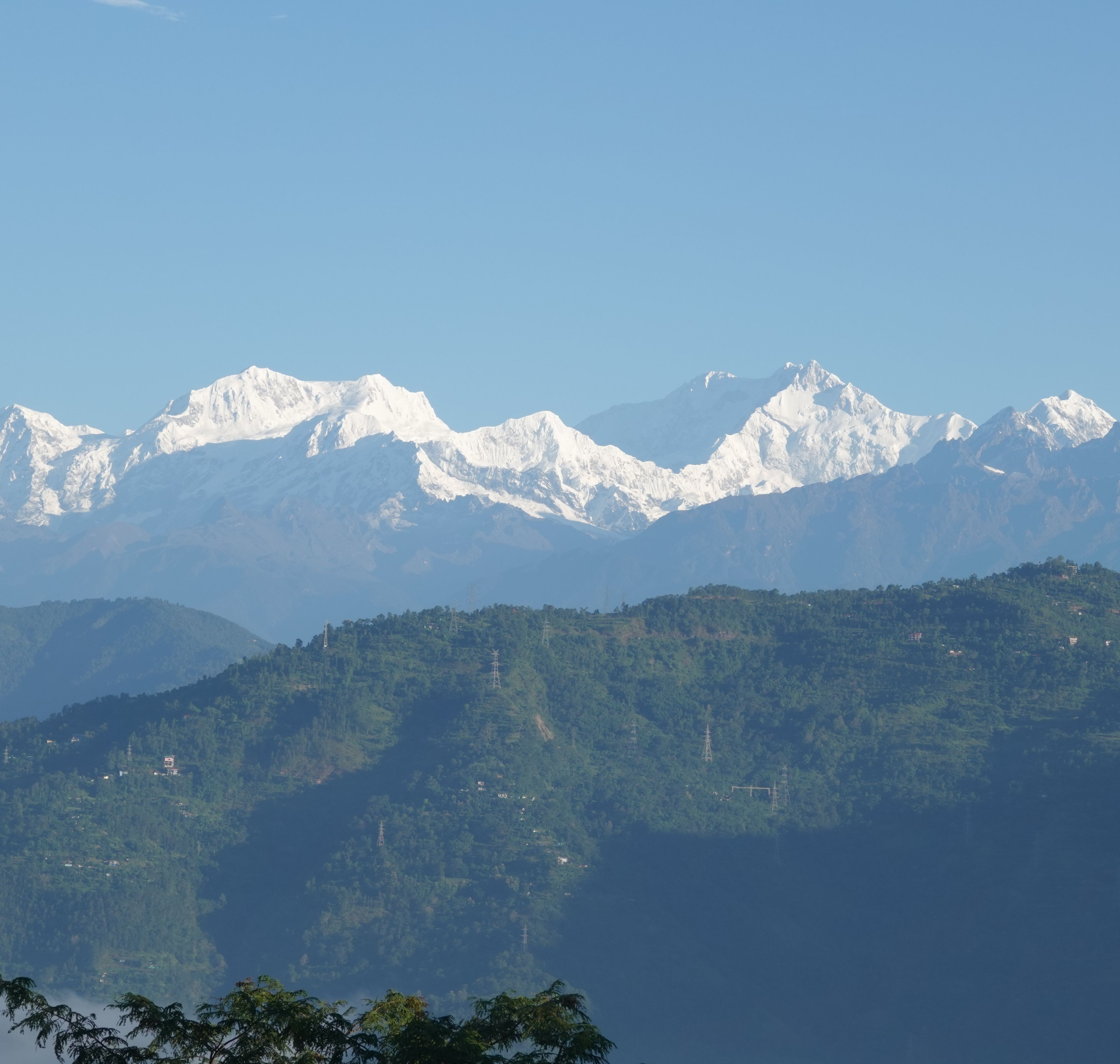 Snow-covered Kangchenjunga peaks above forested Himalayan foothills, viewed from Glenburn Tea Estate