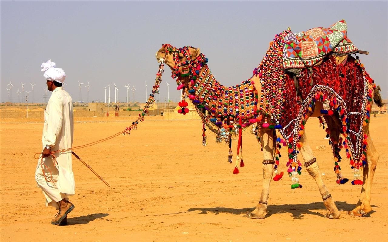 From the Heart of the Thar Desert - Jaisalmer