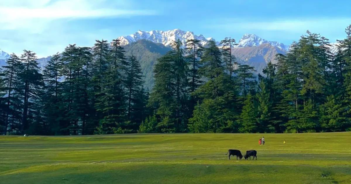 Lush Green Valleys of Himachal Pradesh