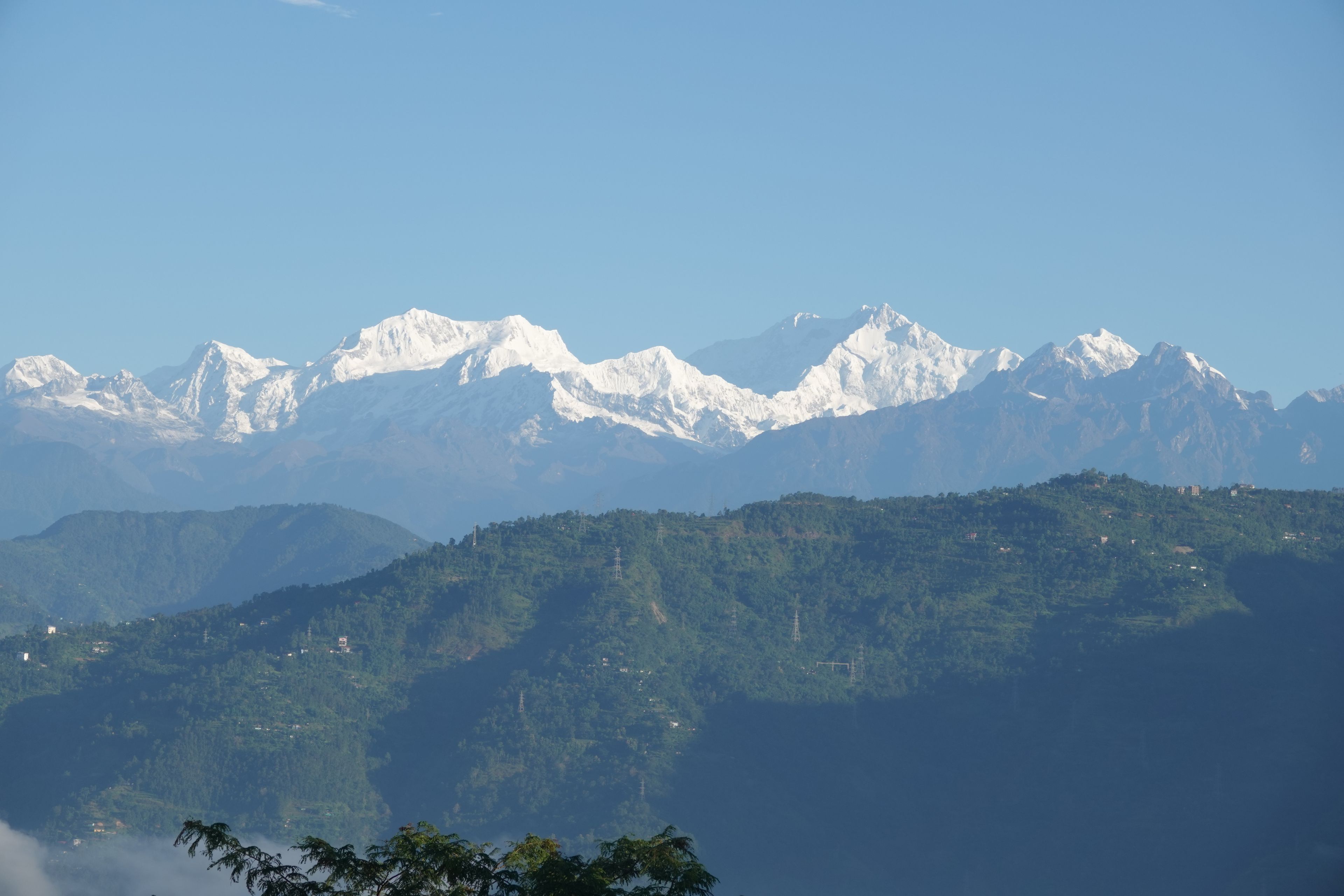 Snow-covered Kangchenjunga peaks above forested Himalayan foothills, viewed from Glenburn Tea Estate