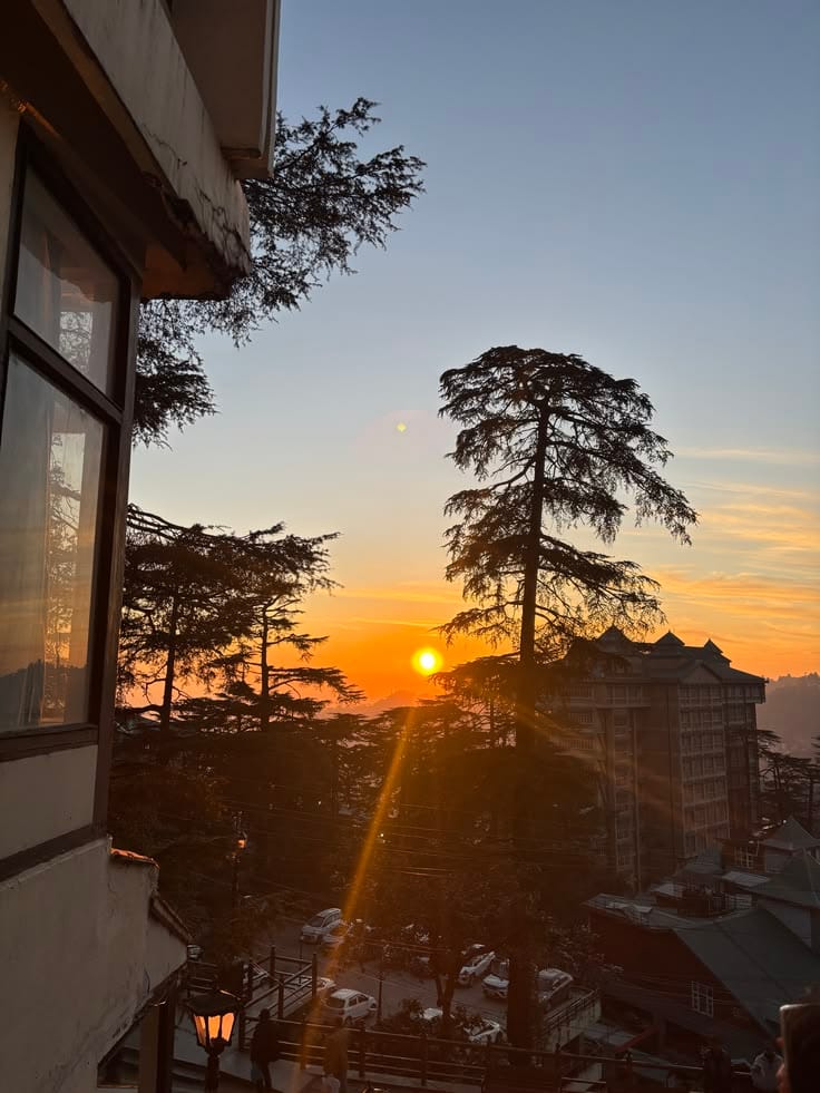 Sunset viewed from a terrace beneath tall trees