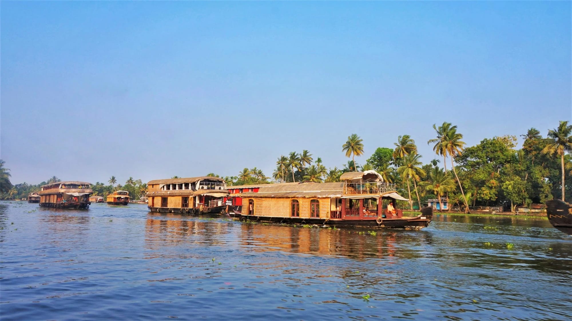 Houseboats beside palm-lined banks on Kerala's backwaters