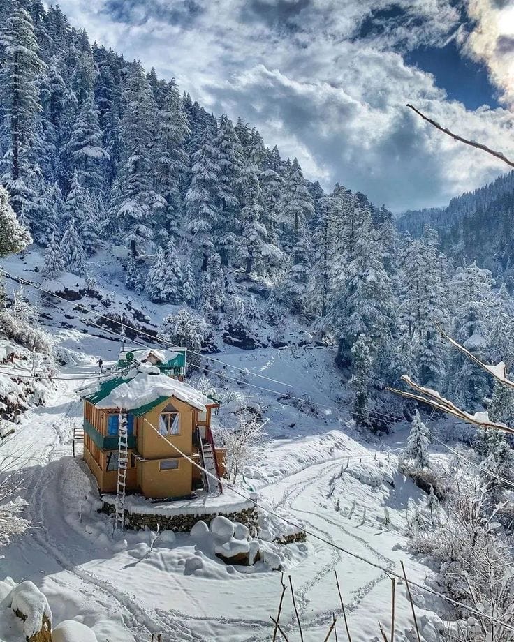 A small cabin beneath snow-covered trees