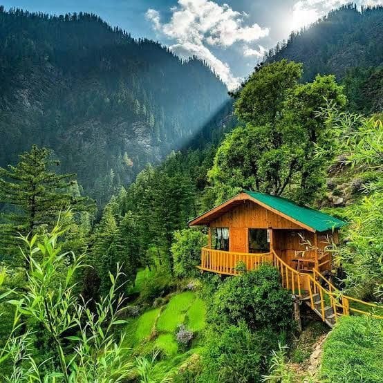 A wooden hillside cottage surrounded by lush vegetation