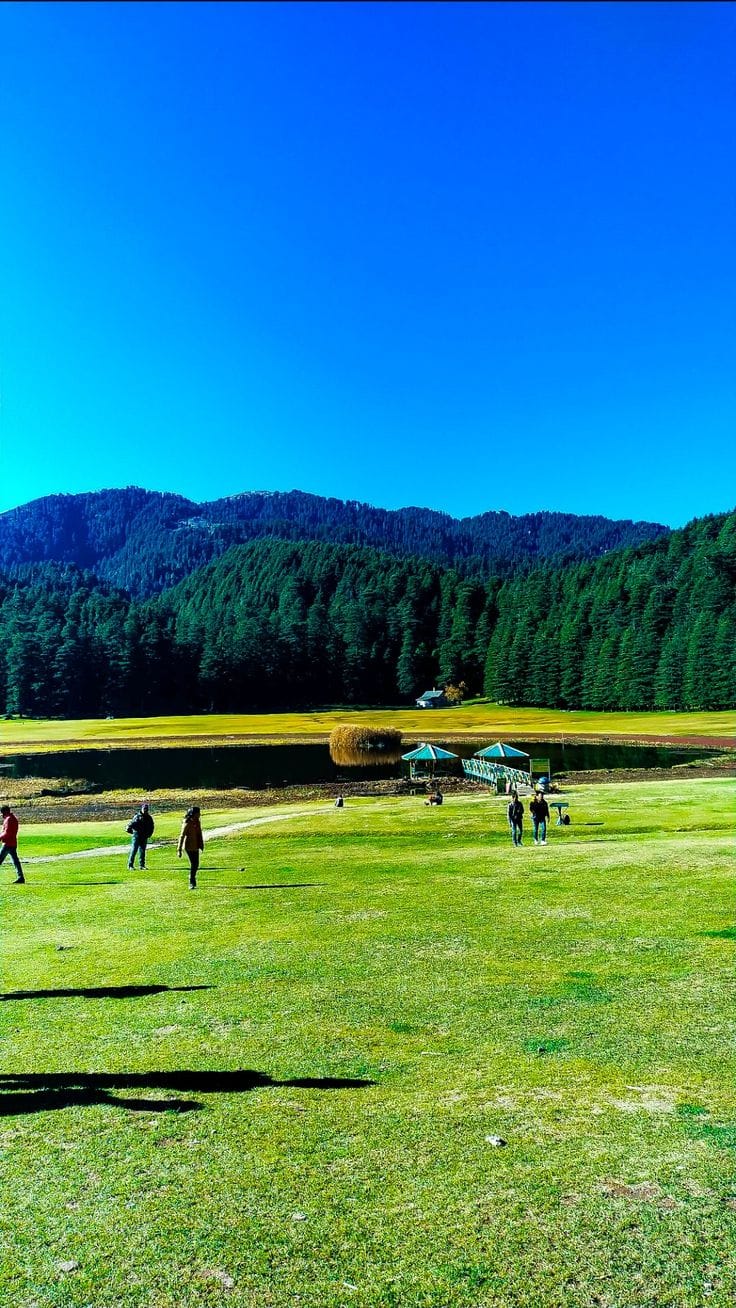 Visitors on a broad grassy meadow below forested hills
