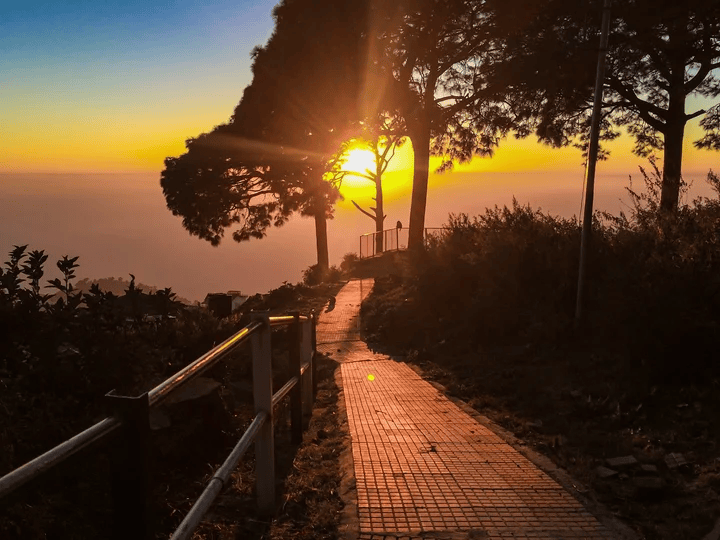 Sunset over a wooden terrace beneath trees