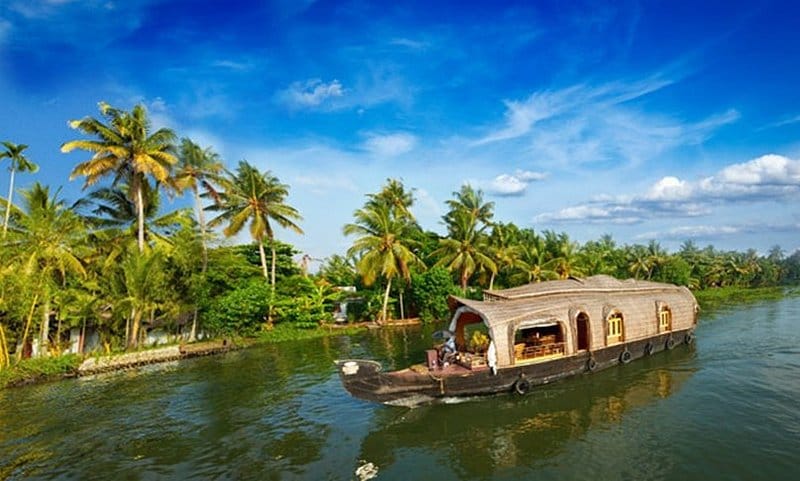 A covered houseboat traveling along a palm-lined canal