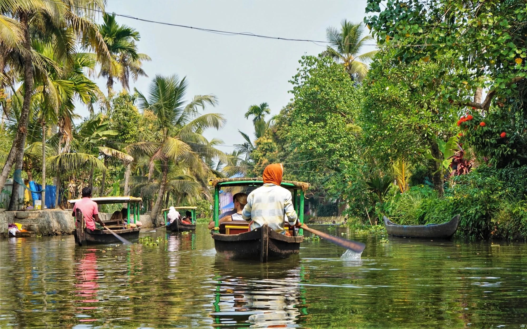 A boatman paddling through a narrow palm-lined canal