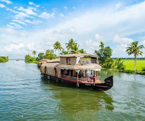 A houseboat passing green fields and coconut palms