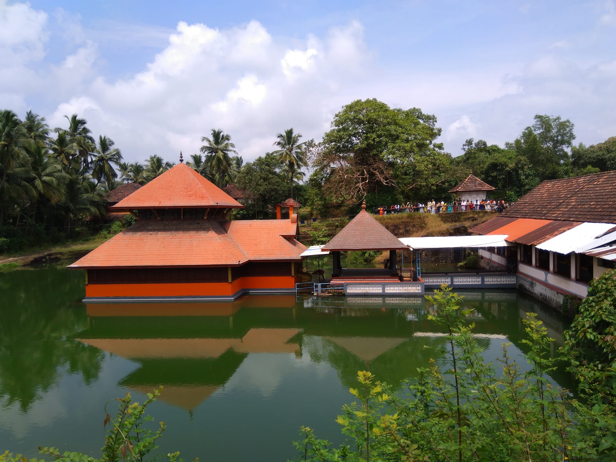 Tiled-roof buildings reflected in a temple pond