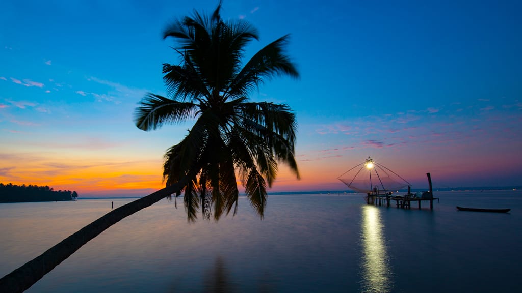 A leaning coconut palm above the water at dusk