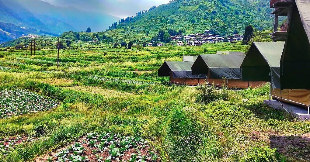 Small wooden cabins among green agricultural terraces