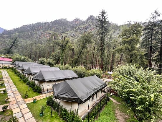 A row of tent cabins on a forested hillside