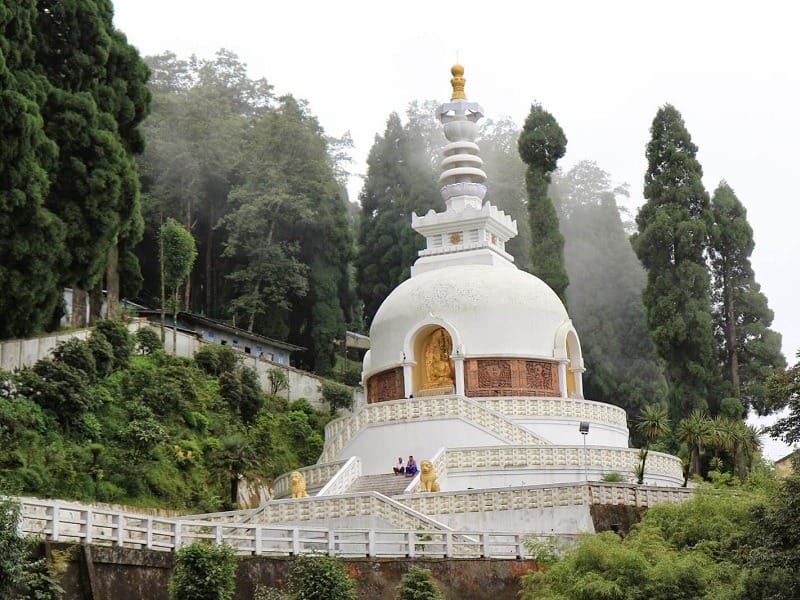A white Buddhist stupa surrounded by trees