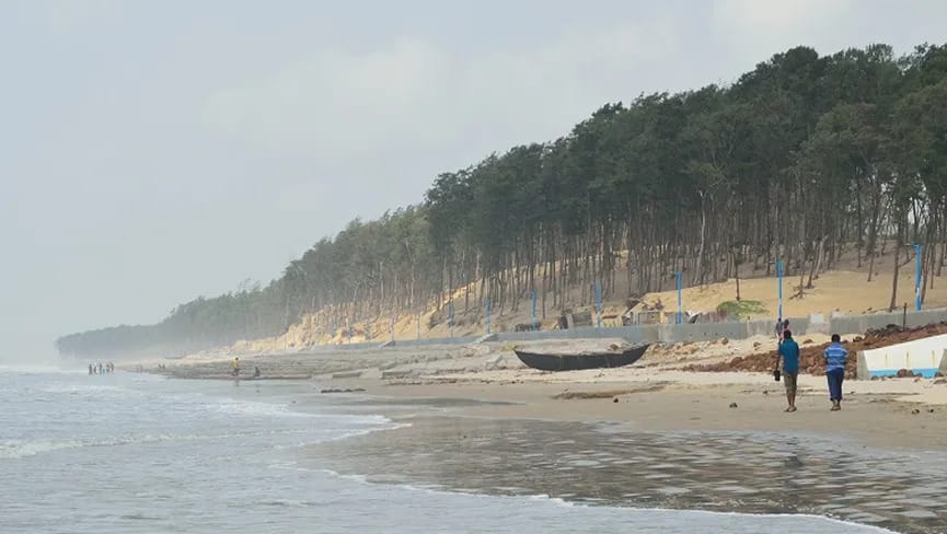People walking on a beach lined with boats and trees