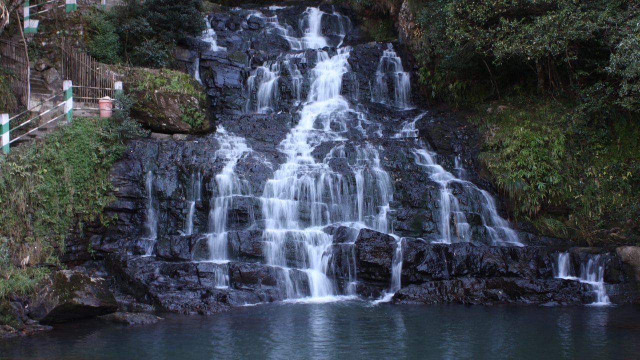 Water cascading down several rocky steps in a forest