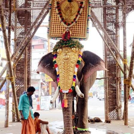 A decorated elephant beneath a temple pavilion