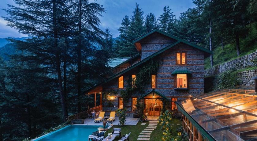 A warmly lit cottage beneath tall conifers