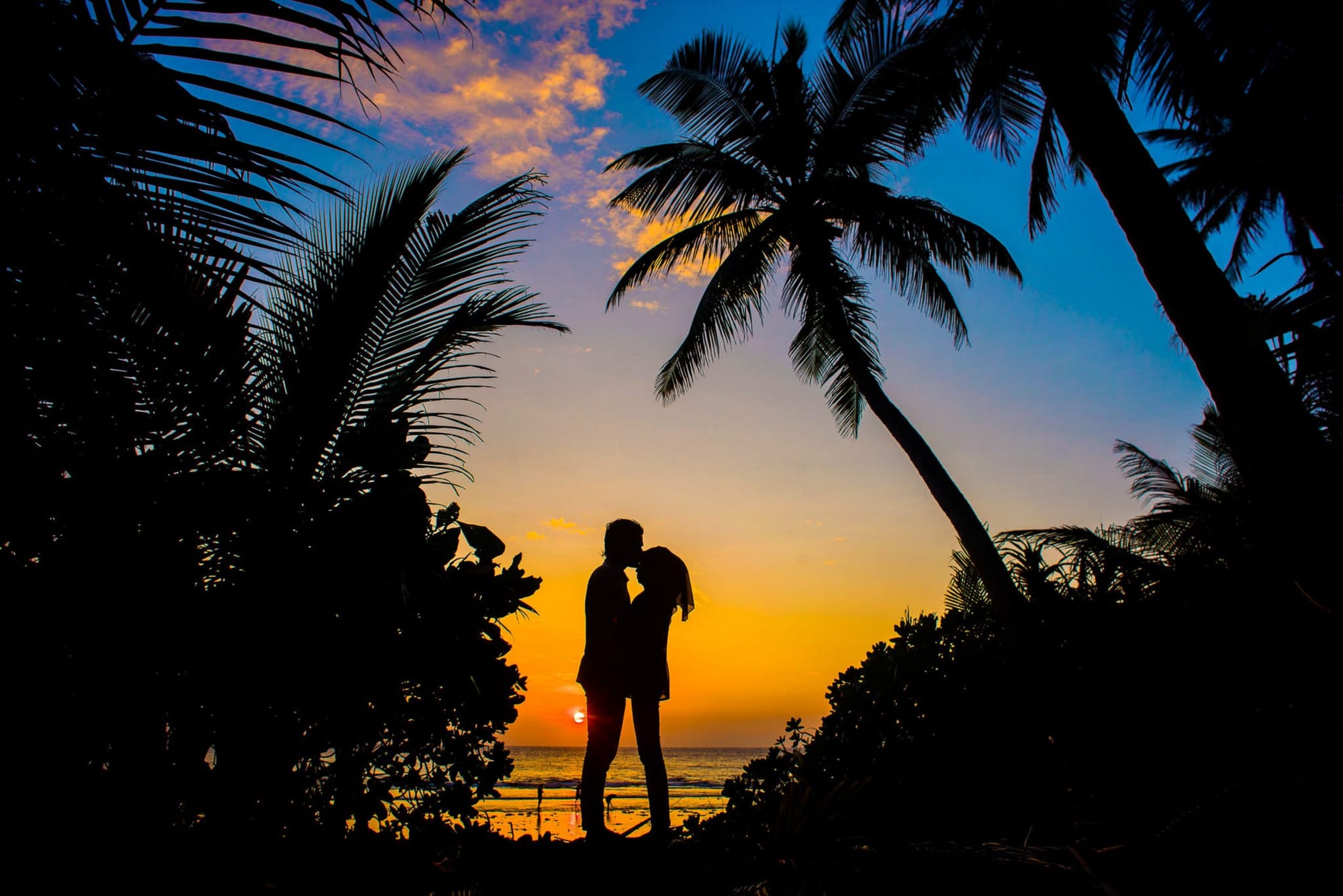 A person silhouetted between coconut palms at sunset