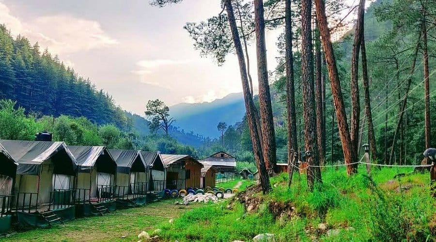 Cabins among tall trees on a mountain campsite