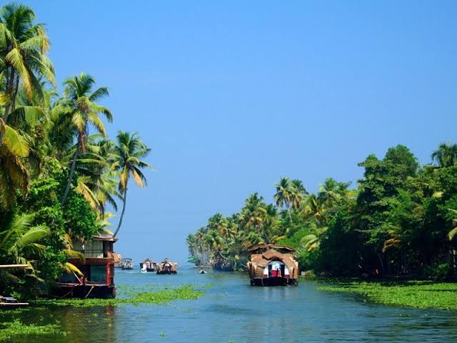 A houseboat on a palm-lined backwater channel