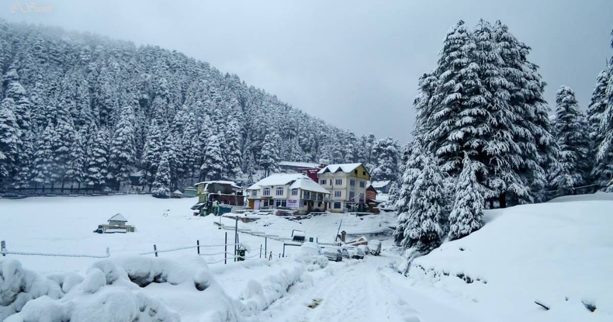A house surrounded by snow-covered trees