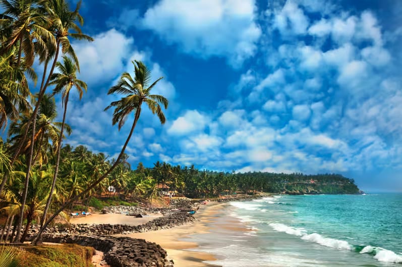 A palm-lined beach beside turquoise sea