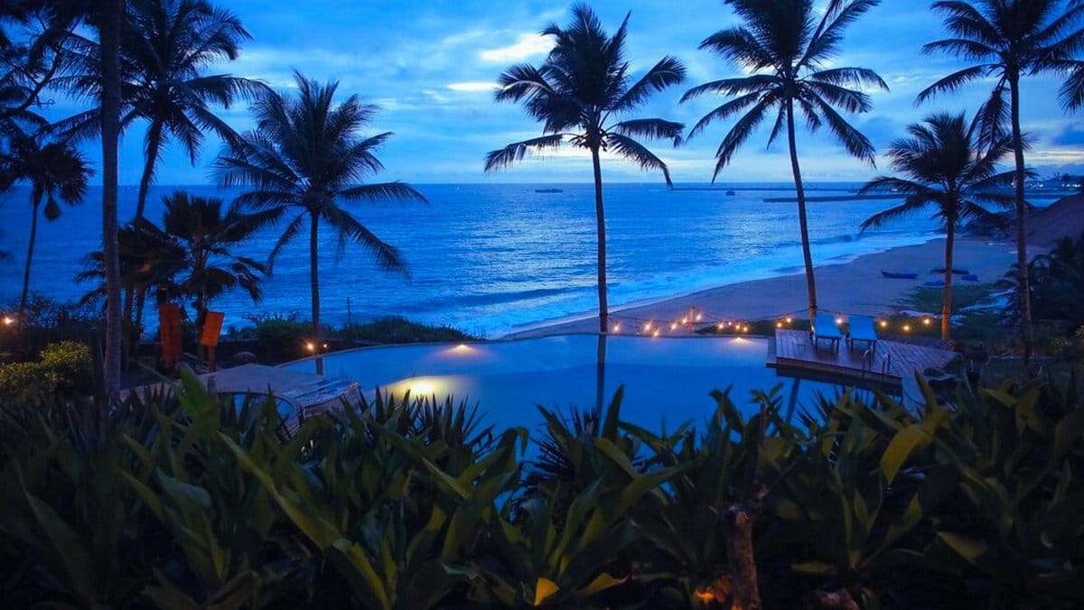 Palm trees framing a coastal bay at dusk