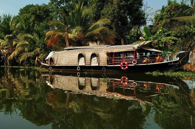 A covered houseboat moored beside a palm-lined bank