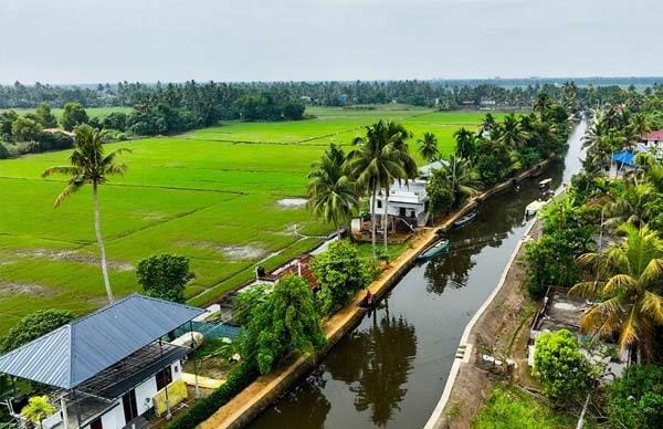 Aerial view of a canal beside bright green paddy fields