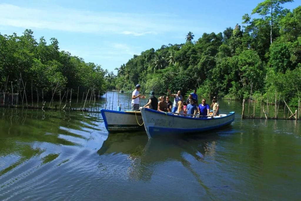 Passengers traveling by boat through a mangrove channel