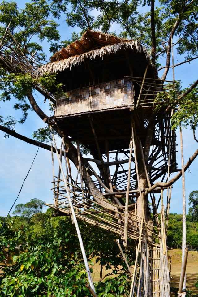 A treehouse raised on stilts among branches