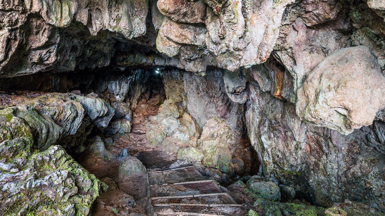 A small opening between weathered rocks and tree roots