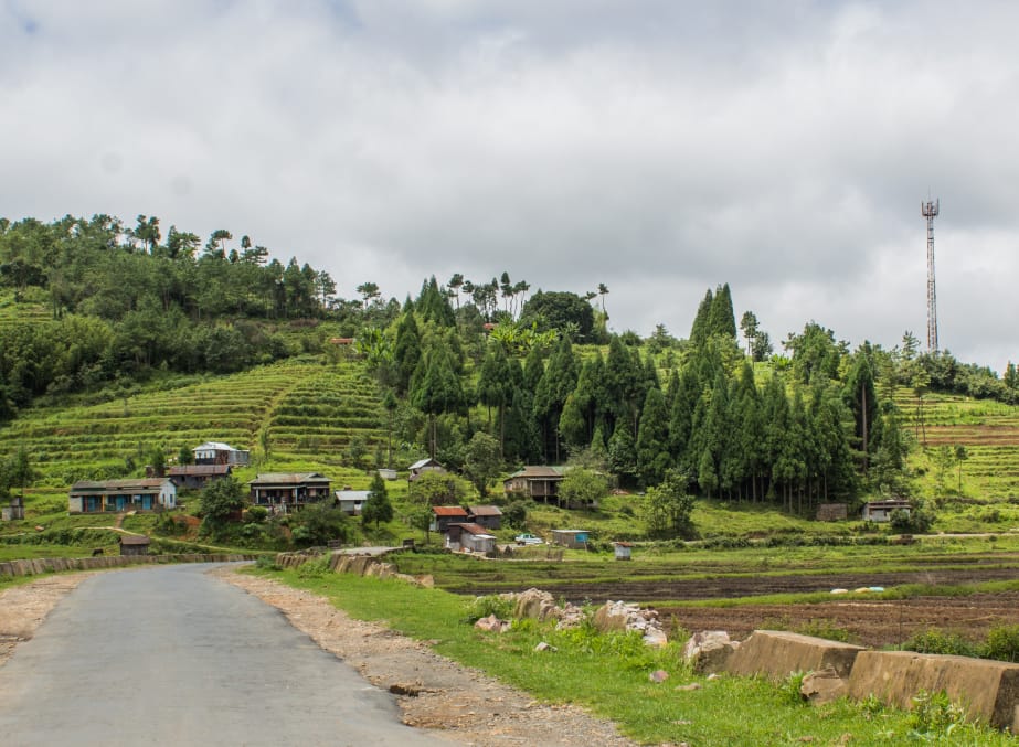 Small cottages on a green hillside