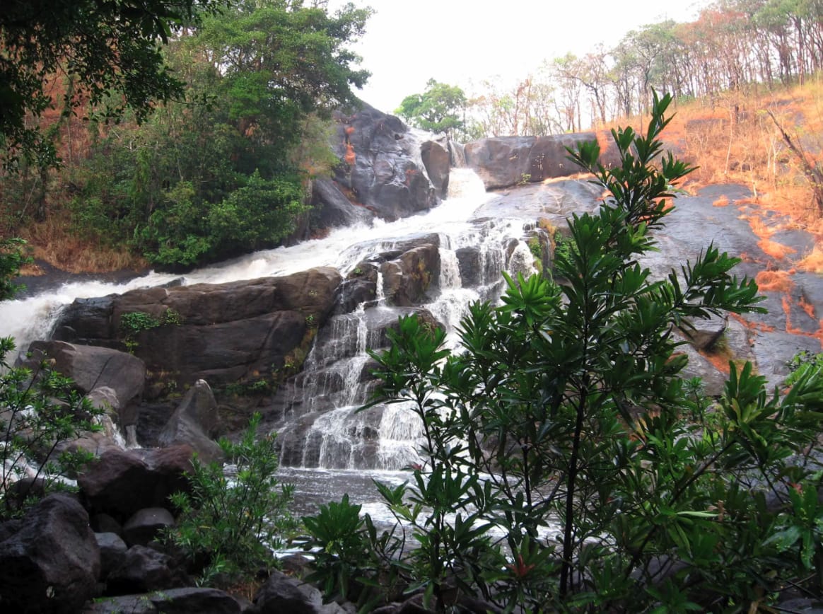 Water cascading over rock ledges among green trees