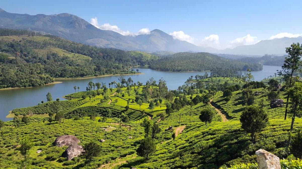 A lake surrounded by green tea plantations and hills