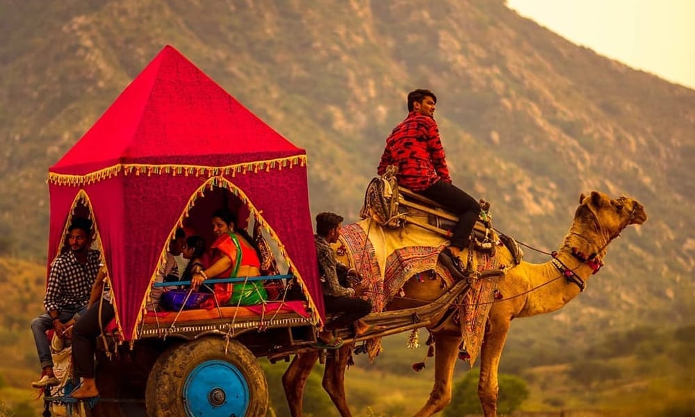 A camel carrying a covered carriage through a dry landscape