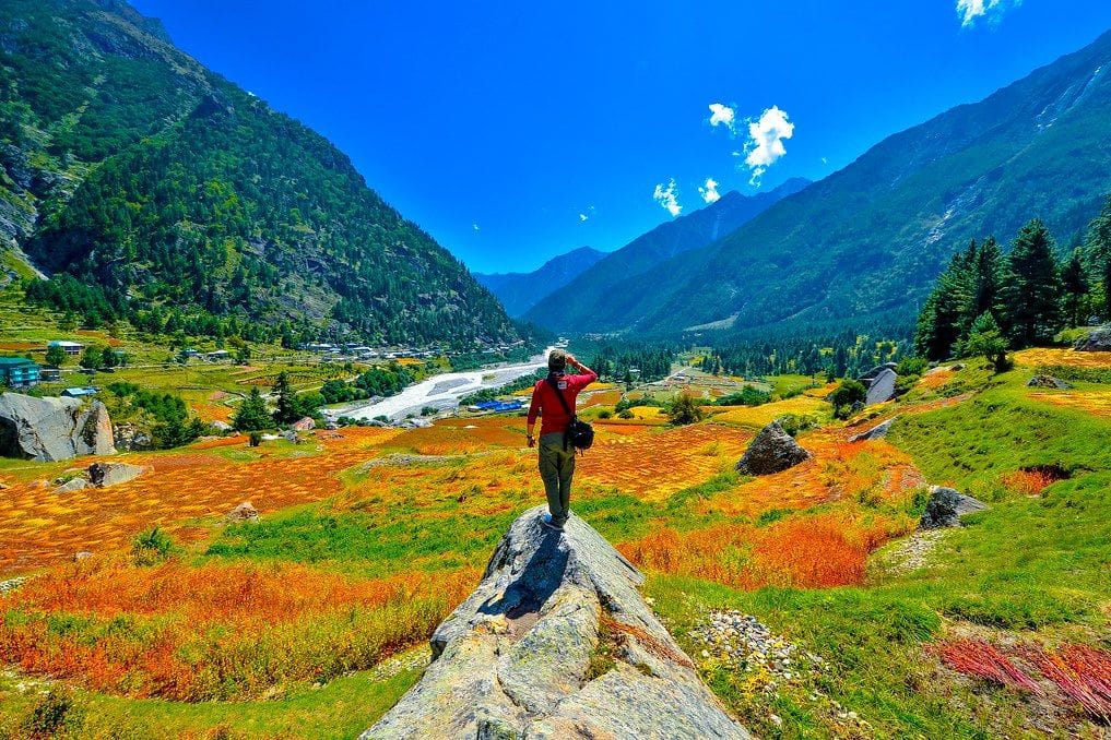 A traveler standing on a rock in a colorful mountain meadow