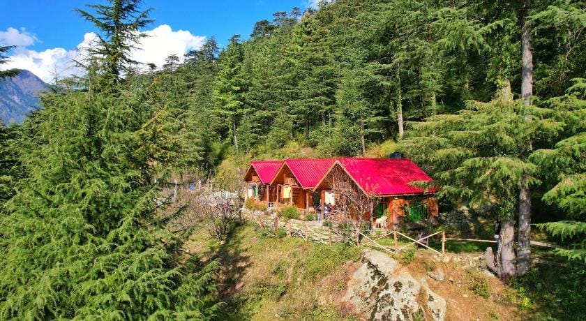 Red-roofed cabins among conifers on a hillside
