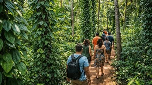 Hikers walking along a narrow plantation path