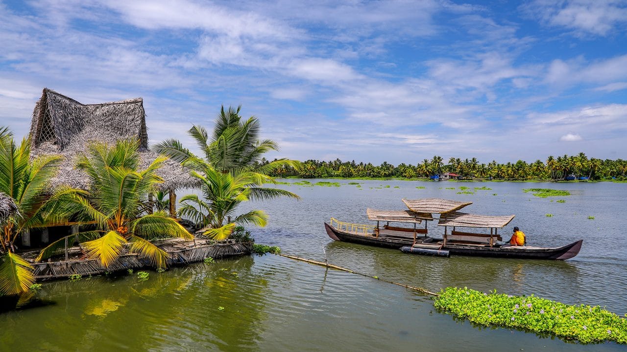 Canoes beside a palm-lined backwater bank