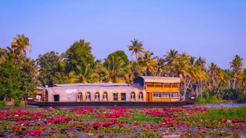 A houseboat passing pink water lilies at dusk