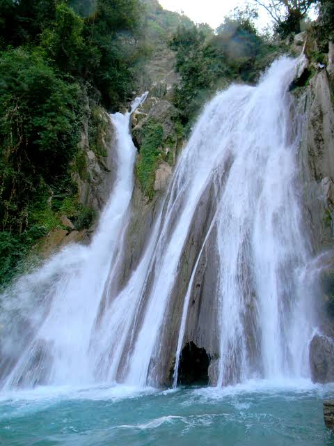 A waterfall cascading down a wooded rock face