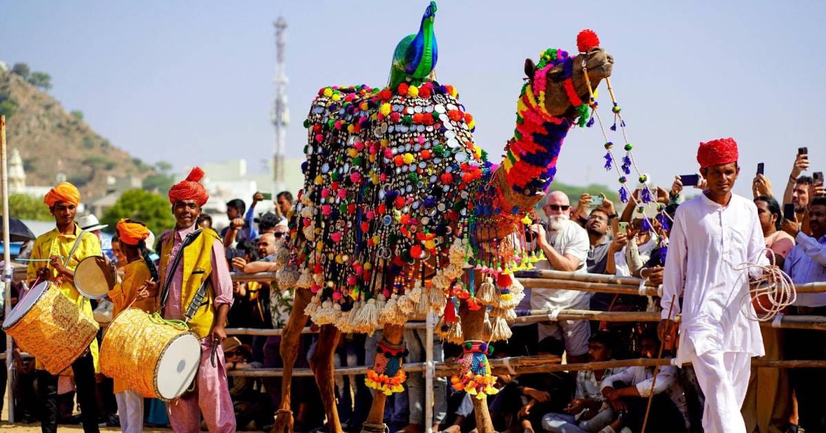 Decorated camels and musicians taking part in a procession