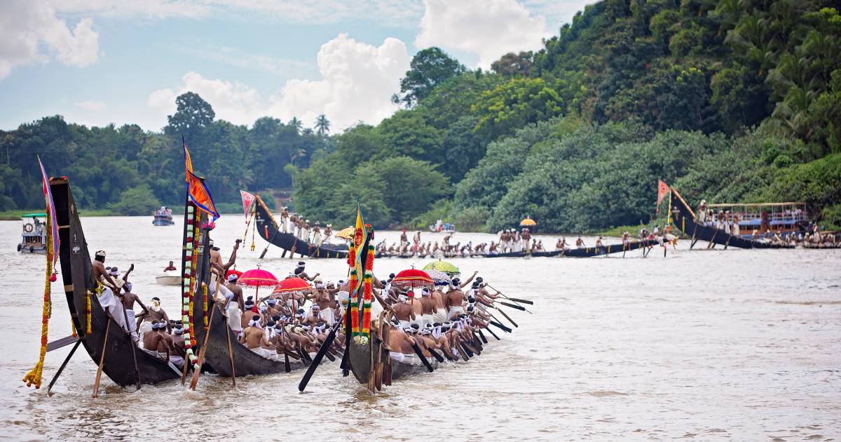 Crews rowing long boats on a river lined with wooded hills